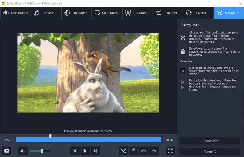 Movavi Video Converter